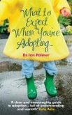 What to Expect When You're Adopting... (eBook, ePUB)