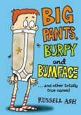 Big Pants, Burpy and Bumface (eBook, ePUB)