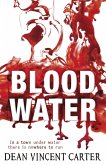 Blood Water (eBook, ePUB)