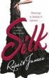 Silk (eBook, ePUB) - Bild 1