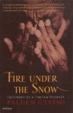 Fire Under The Snow (eBook, ePUB)