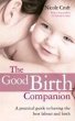 The Good Birth Companion (eBook, ePUB) - Bild 1