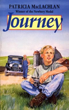 Cover Journey (eBook, ePUB)
