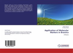 Application of Molecular Markers in Brassica