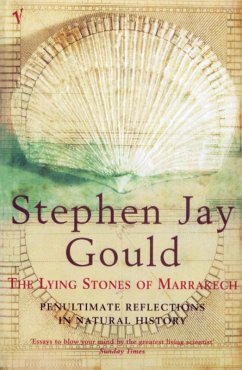 The Lying Stones of Marrakech (eBook, ePUB) - Gould, Stephen Jay