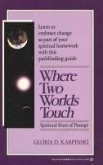 Where Two Worlds Touch (eBook, ePUB)