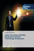 Class and Status Identity Among Information Technology Employees