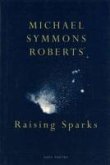 Raising Sparks (eBook, ePUB)