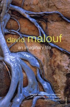 An Imaginary Life (eBook, ePUB) - Malouf, David