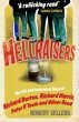 Hellraisers (eBook, ePUB) - Bild 1