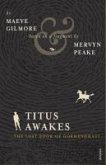 Titus Awakes (eBook, ePUB)