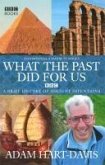 What the past did for us (eBook, ePUB)