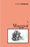 A Maggot (eBook, ePUB)