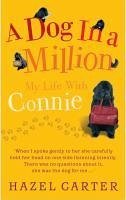 A Dog in a Million (eBook, ePUB) - Carter, Hazel