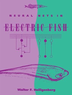Neural Nets in Electric Fish - Heiligenberg, Walter