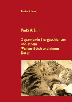 Pinki & Emil (eBook, ePUB)
