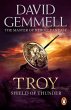 Troy: Shield Of Thunder (eBook, ePUB) - Bild 1
