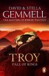 Troy: Fall Of Kings (eBook, ePUB) - Bild 1