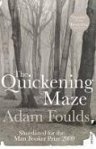 The Quickening Maze (eBook, ePUB)