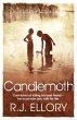 Candlemoth (eBook, ePUB) - Bild 1