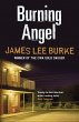 Burning Angel (eBook, ePUB) - Bild 1