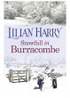 Snowfall in Burracombe (eBook, ePUB) - Bild 1