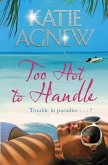 Too Hot to Handle (eBook, ePUB)