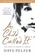 A Child Called It (eBook, ePUB) - Bild 1