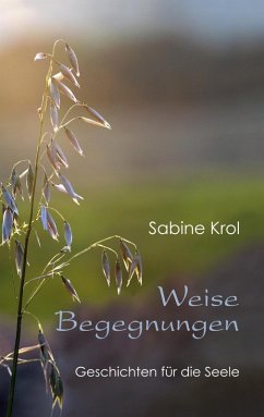 Weise Begegnungen - Geschichten für die Seele (eBook, ePUB)