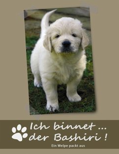 Ich binnet ... der Bashiri! (eBook, ePUB)