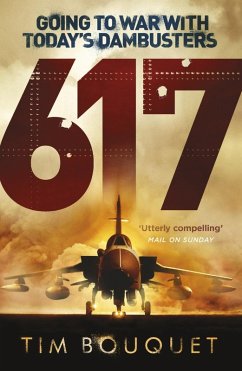 Cover 617 (eBook, ePUB)