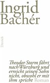 Theodor Storm fährt nach Würzburg und erreicht seinen Sohn nicht, obwohl er mit ihm spricht (eBook, ePUB)