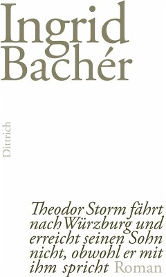 Theodor Storm fährt nach Würzburg und erreicht seinen Sohn nicht, obwohl er mit ihm spricht (eBook, ePUB) - Bachér, Ingrid