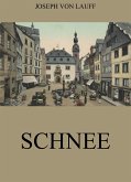 Schnee (eBook, ePUB)