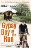 Gypsy Boy on the Run (eBook, ePUB)