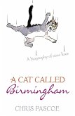 A Cat Called Birmingham (eBook, ePUB)