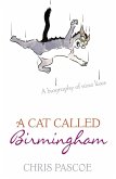 A Cat Called Birmingham (eBook, ePUB)