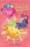 Pocket Cats: Magical Mayhem (eBook, ePUB)