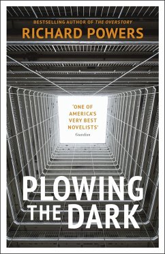 Plowing the Dark (eBook, ePUB) - Powers, Richard