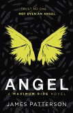 Angel: A Maximum Ride Novel (eBook, ePUB)