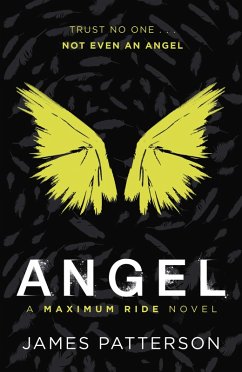 Angel: A Maximum Ride Novel (eBook, ePUB) - Patterson, James