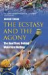 The Ecstasy and the Agony (eBook, ePUB) - Bild 1