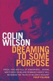 Dreaming To Some Purpose (eBook, ePUB)
