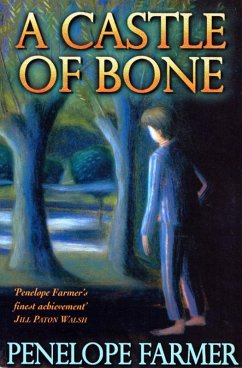 Cover A Castle Of Bone (eBook, ePUB)