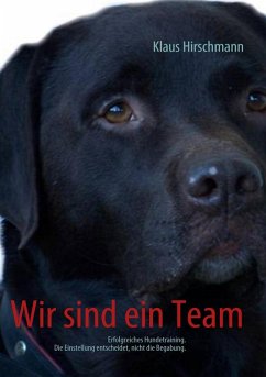 Wir sind ein Team (eBook, ePUB) - Hirschmann, Klaus
