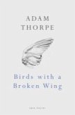 Birds With A Broken Wing (eBook, ePUB)