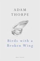Cover Birds With A Broken Wing (eBook, ePUB)