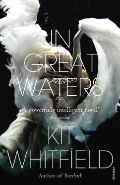 Cover In Great Waters (eBook, ePUB)