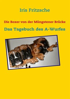 Die Boxer von der Müngstener Brücke (eBook, ePUB) - Fritzsche, Iris