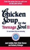 Chicken Soup For The Teenage Soul II (eBook, ePUB)